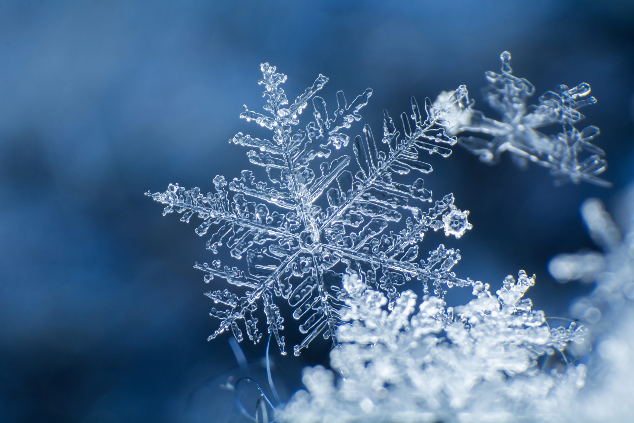 Snowflake,On,A,Blue,Background