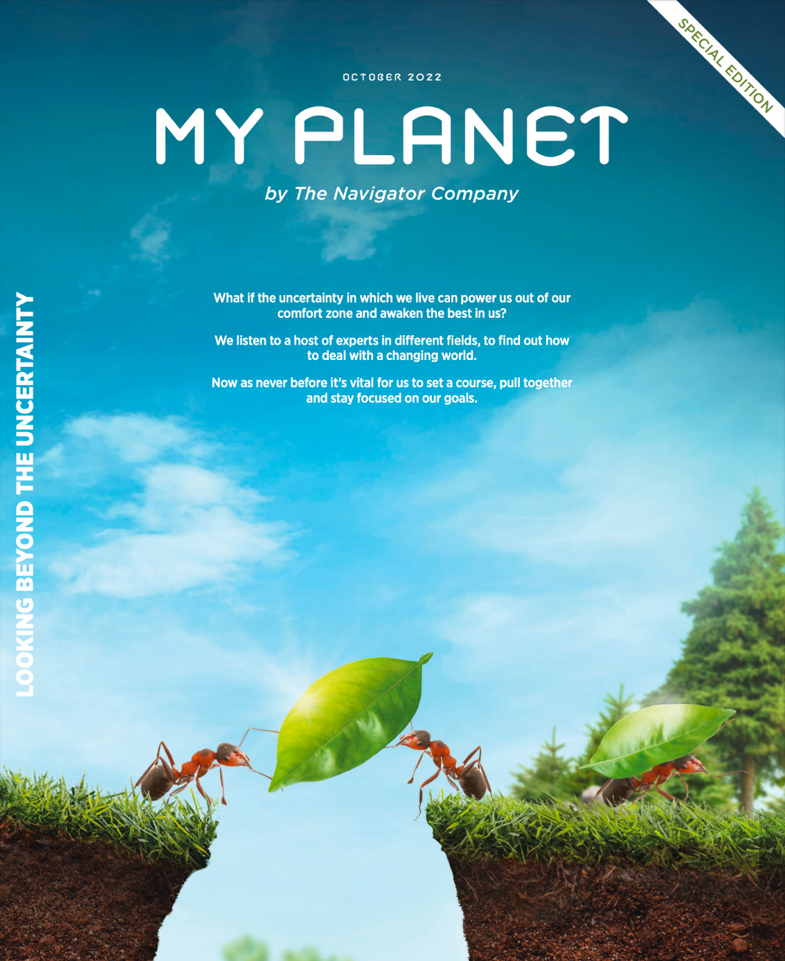 My Planet 11